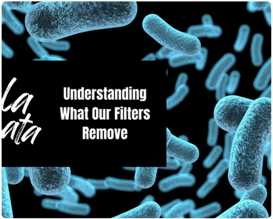 Bella Cascata: Understanding What our Filters Remove